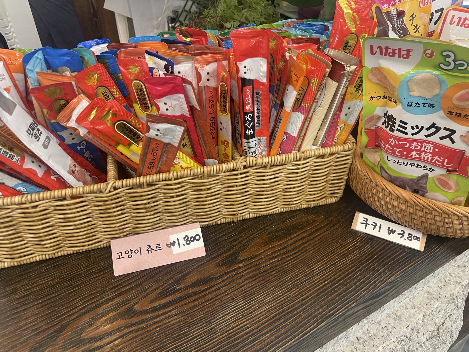 카페 토르첼로에서 판매하는 고양이 간식